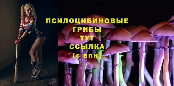 хмурый Пересвет