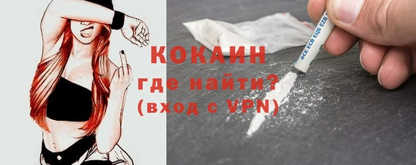 хмурый Пересвет