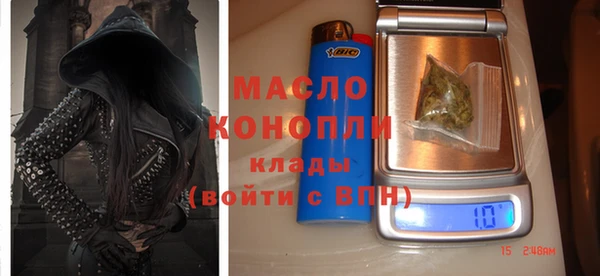 хмурый Пересвет