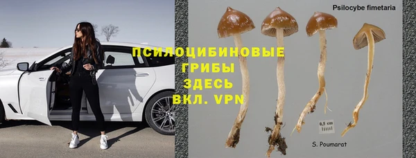 шишки Покровск