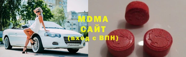 хмурый Пересвет