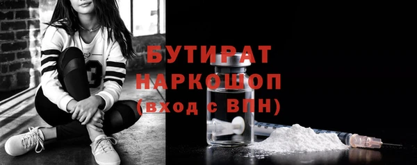 хмурый Пересвет