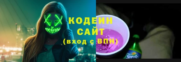 хмурый Пересвет