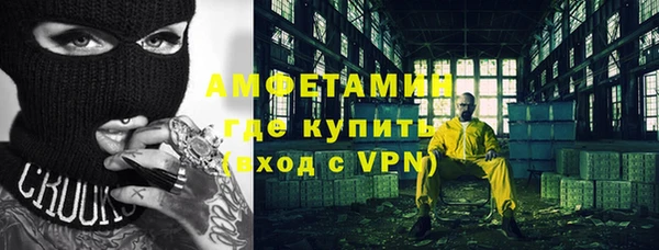 хмурый Пересвет