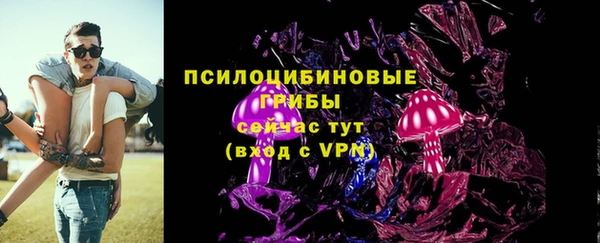 хмурый Пересвет