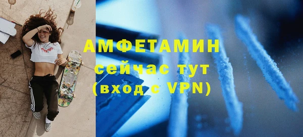 хмурый Пересвет