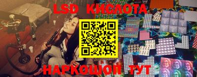 крисы Гусев