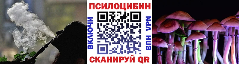 Псилоцибиновые грибы Psilocybe  Шуя 