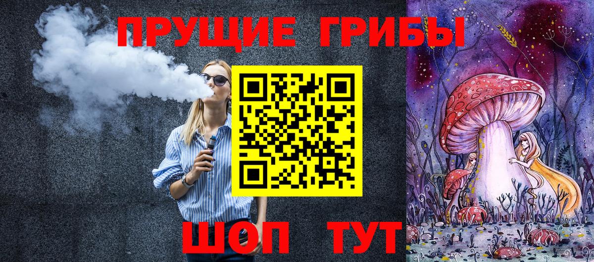 Галлюциногенные грибы Psilocybine cubensis Шуя